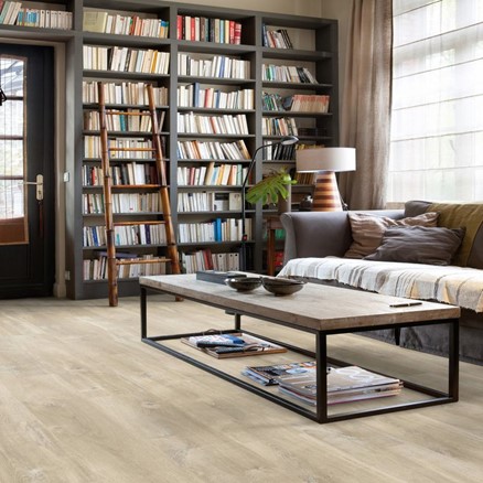 A living room with a sofa, bookshelf and wood flooring.