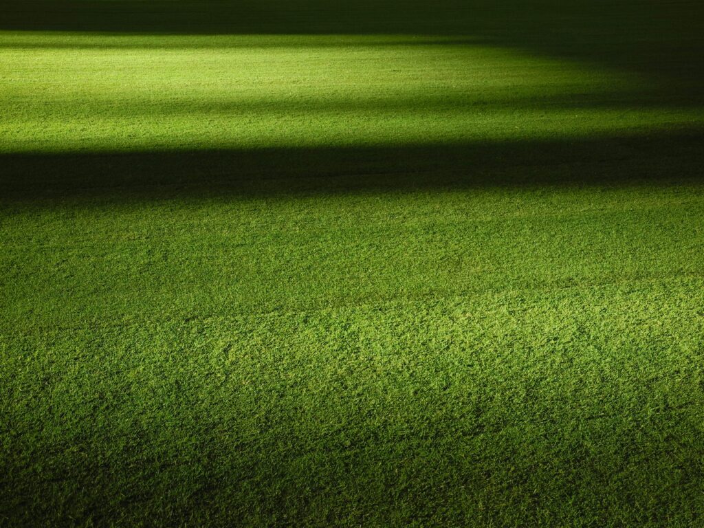 A green artificial grass lawn at nighttime. 