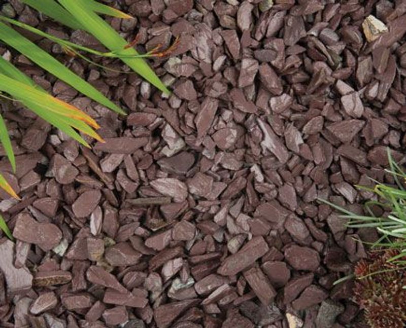 Kelkay plum chippings gravel with plants