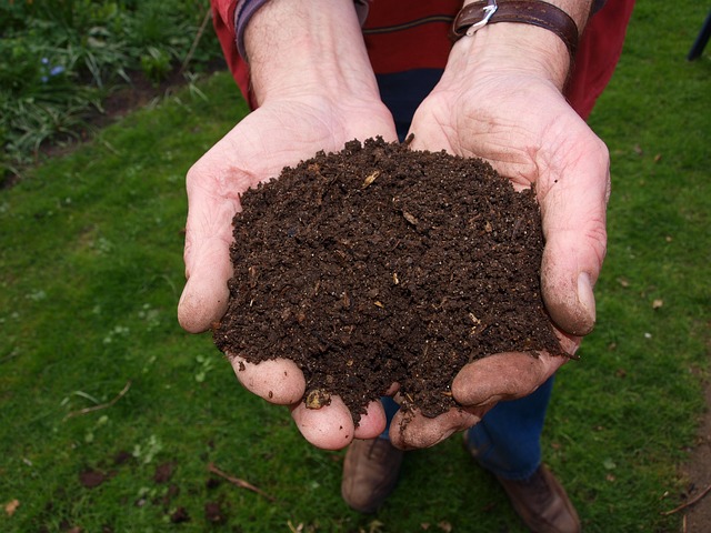 Person holding fresh compost