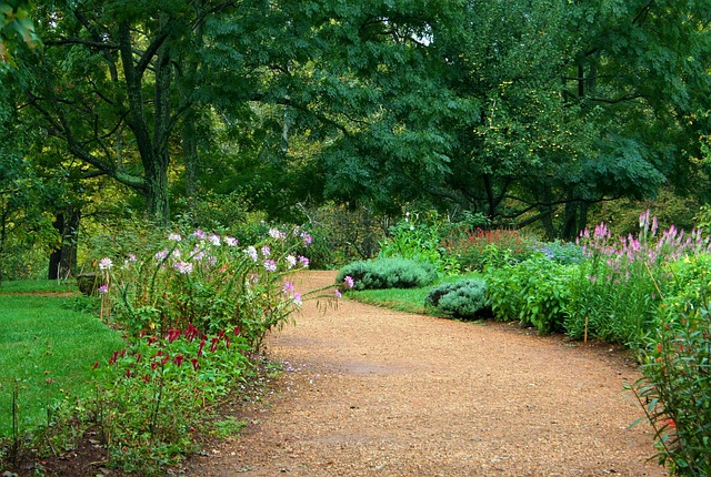 Lush garden with a gravel path