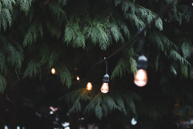 String lights on a tree
