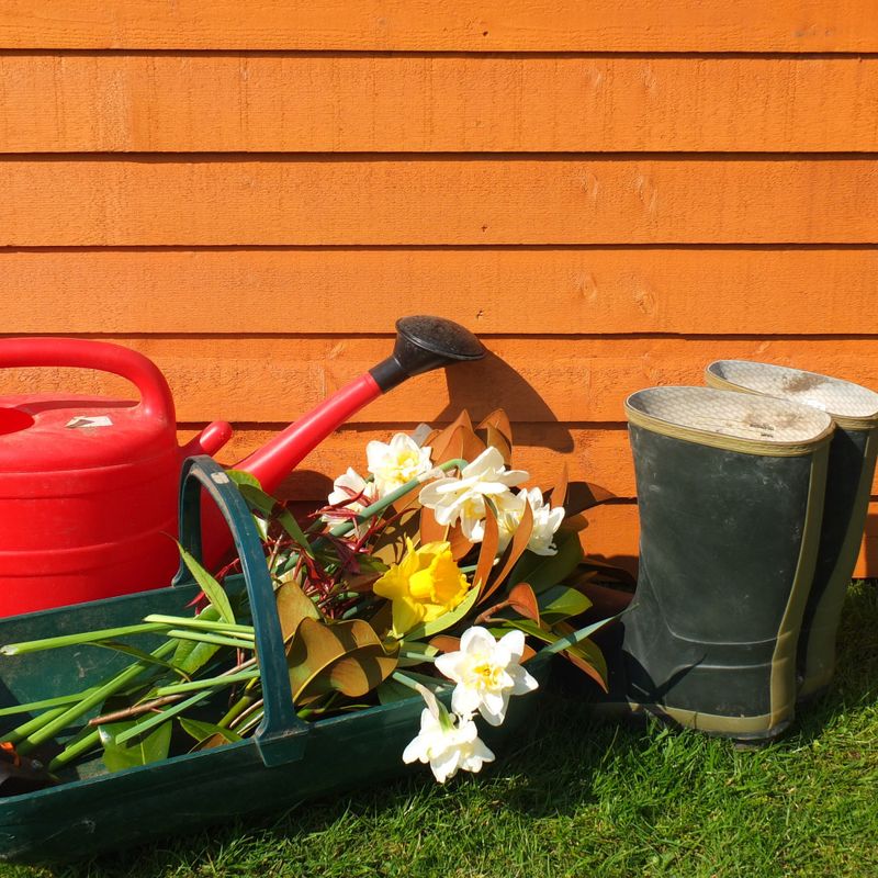 Garden tools and flowers outside a shed