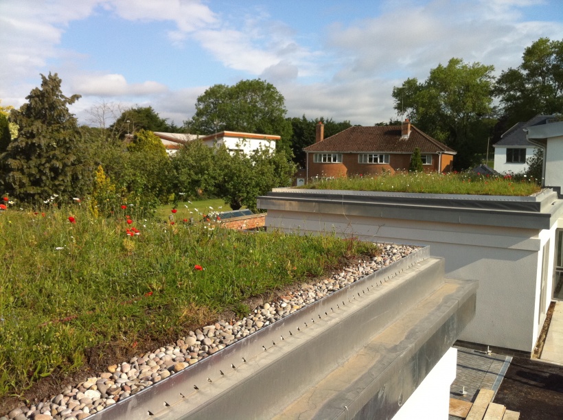 wildflower-blanket-system-product-main-green-roof